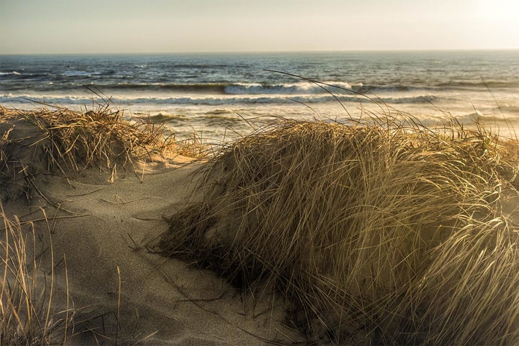 franklin point beach sunset